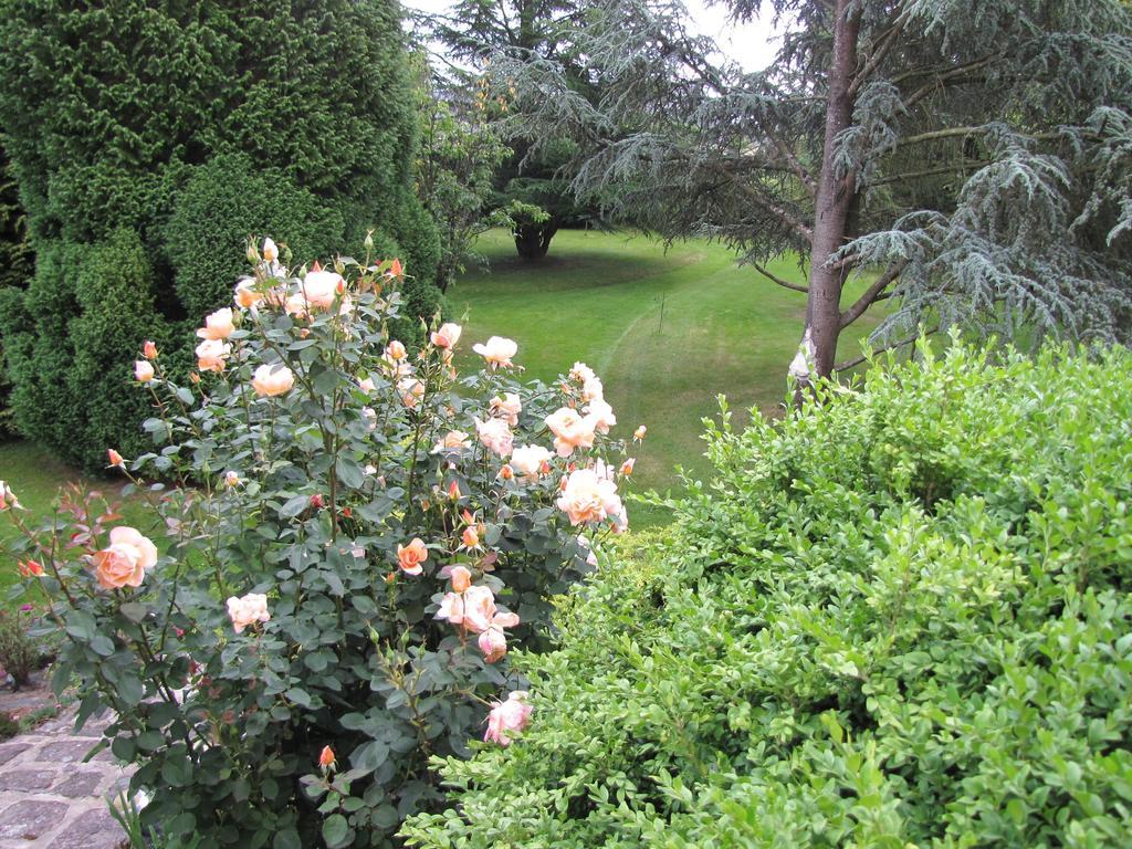 Gite Broceliande Villa Baulon Oda fotoğraf